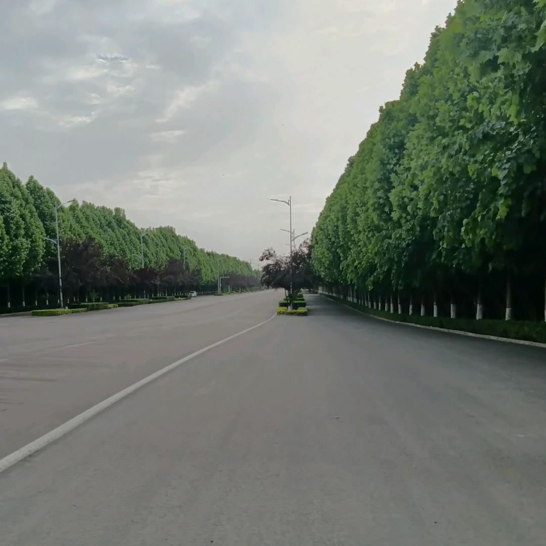 🌟星火人间🌟