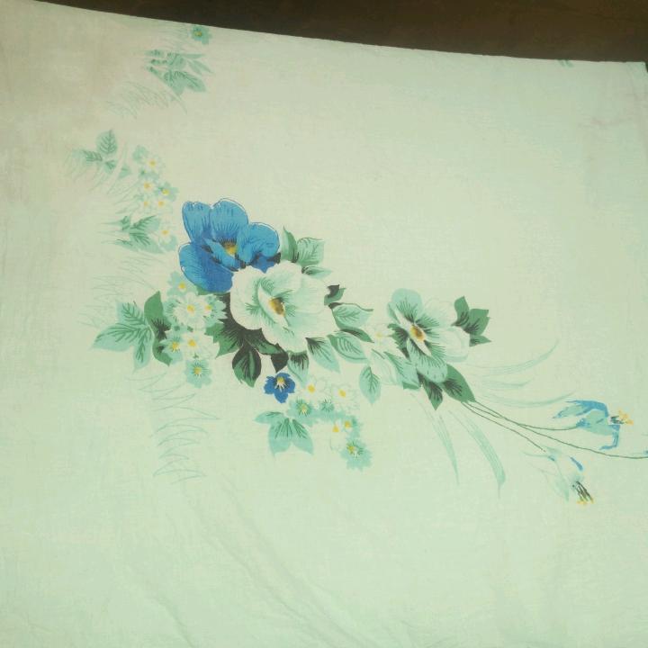 雄鹰展翅