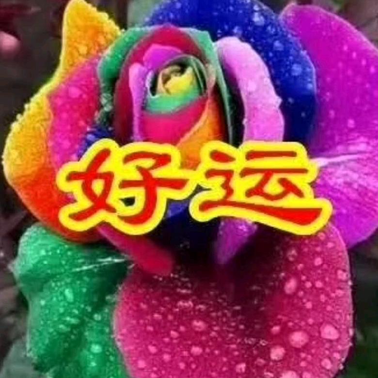 好远来大王村544318