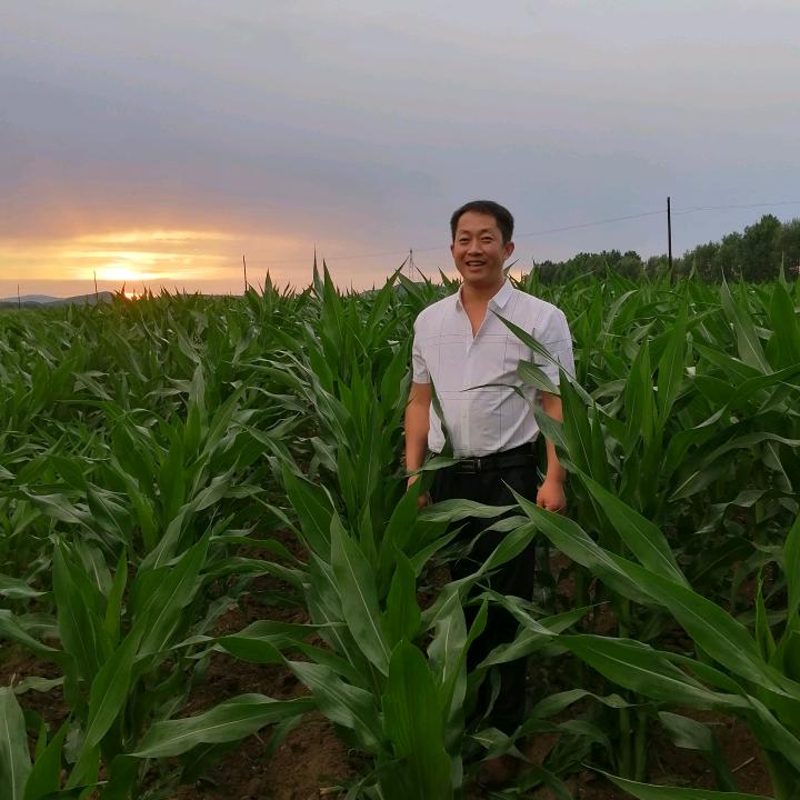 唐宝磊