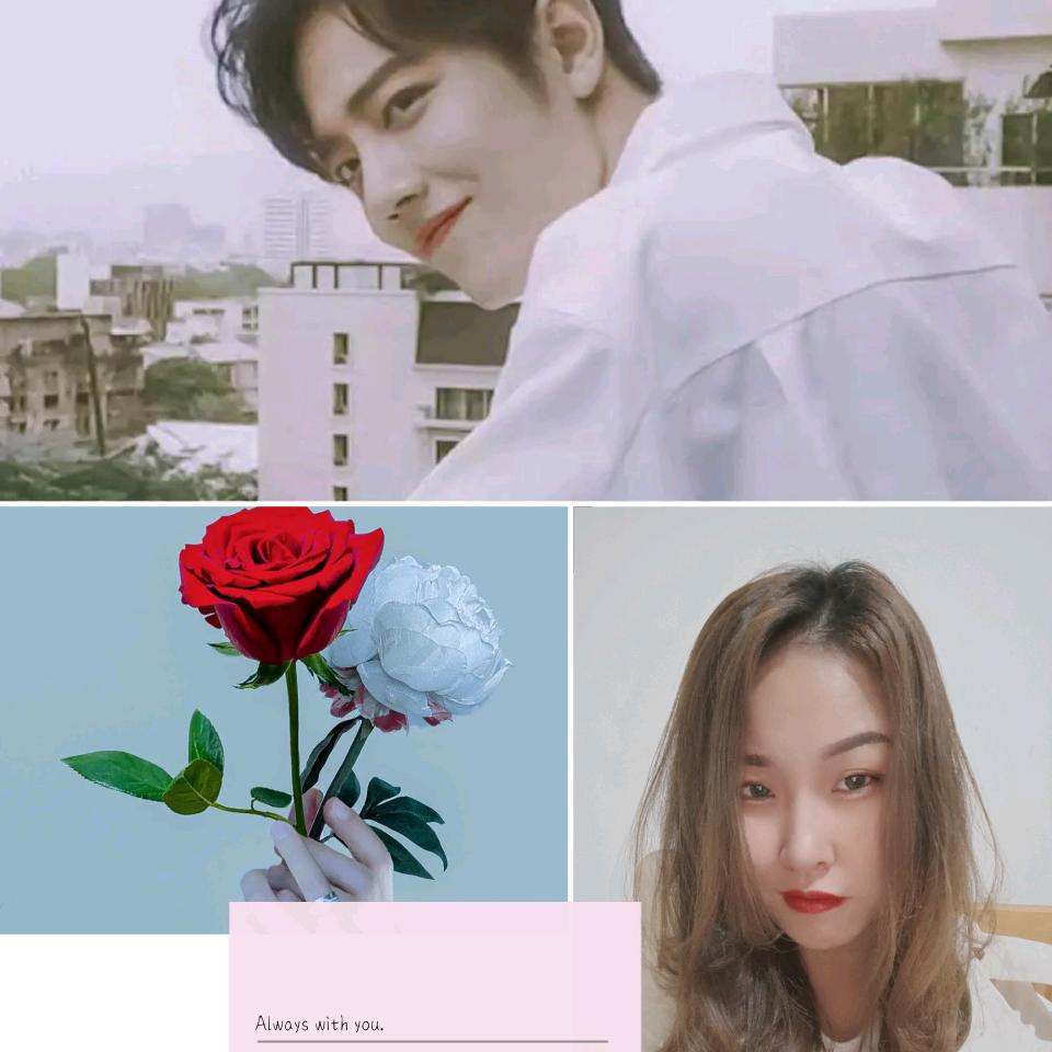 努力努力再努力✘