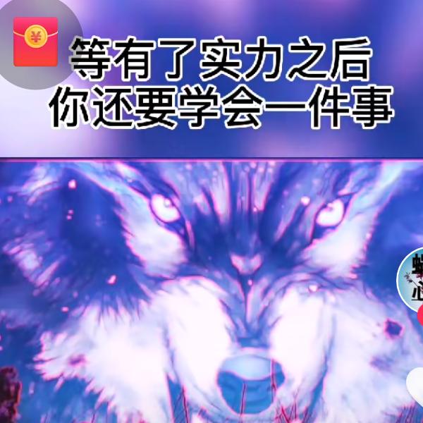 随风潜入夜晚