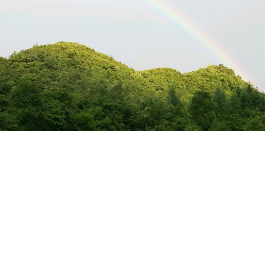 💞一切💓随缘💞