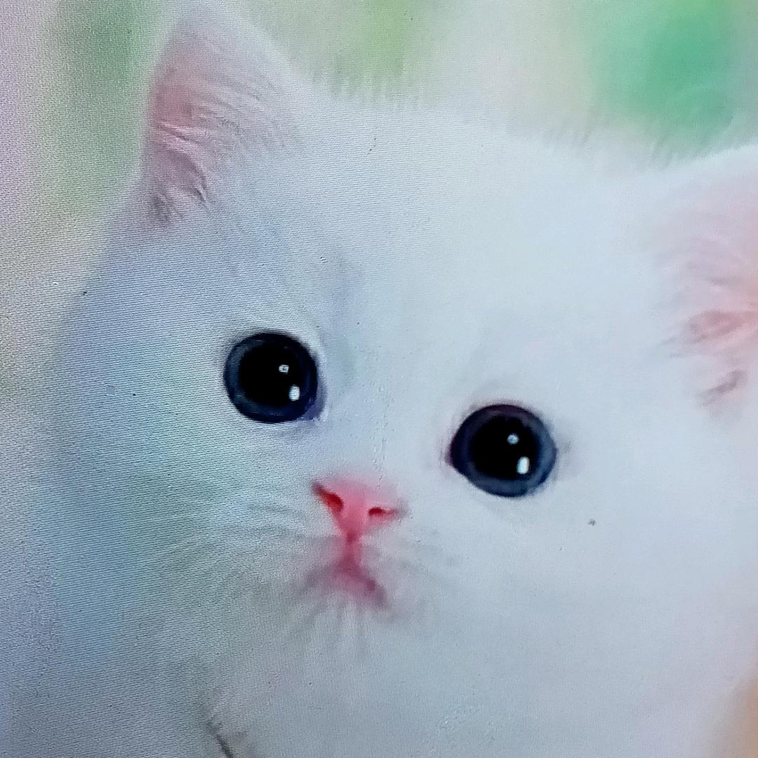 我是奶奶