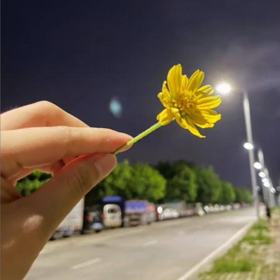 愿得一人心