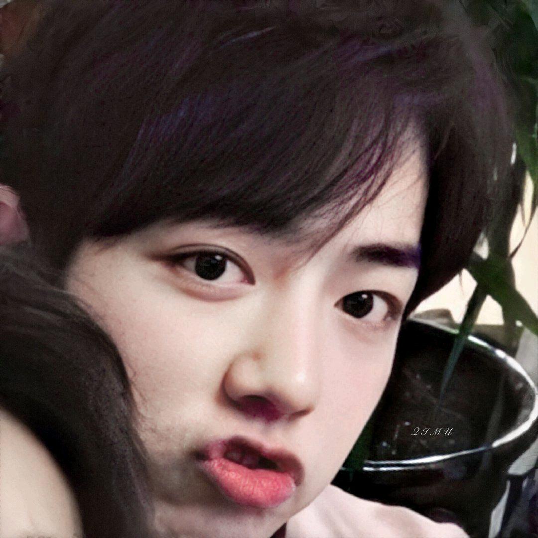 •ᴗ•南星小草