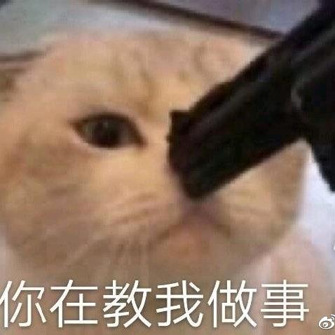 。.。.头像