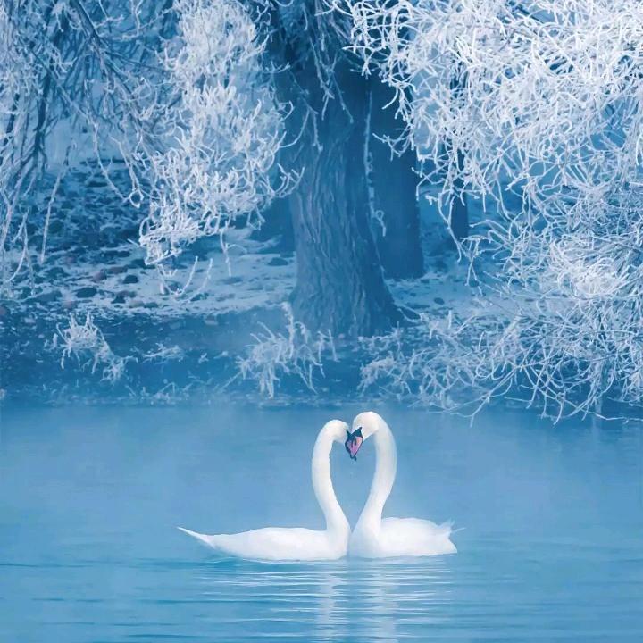 白云🌹（社会热点)