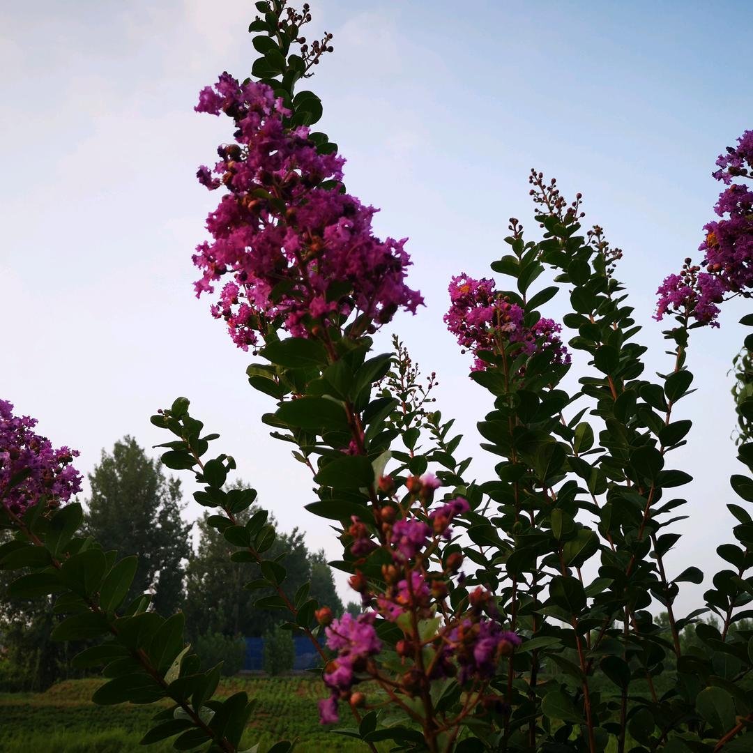 遇上你是我的缘