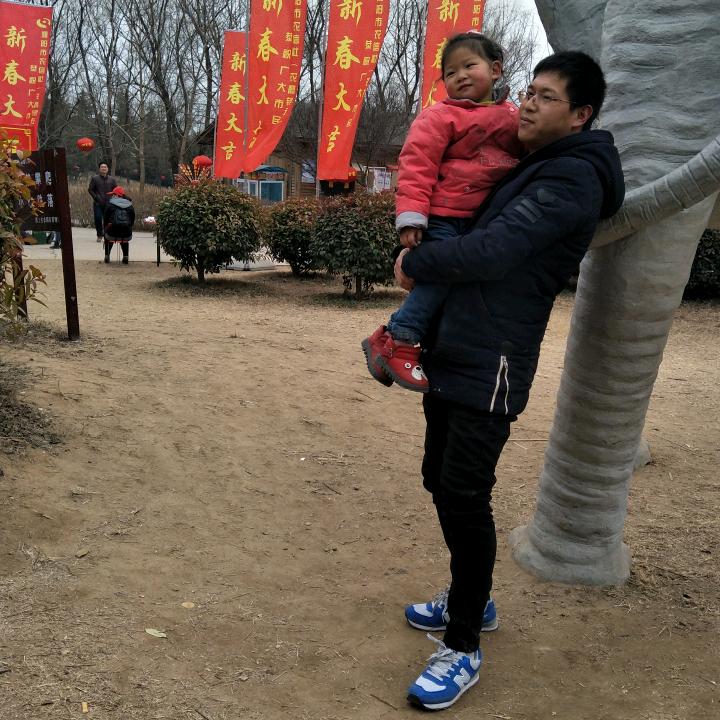 理想斗不过现实
