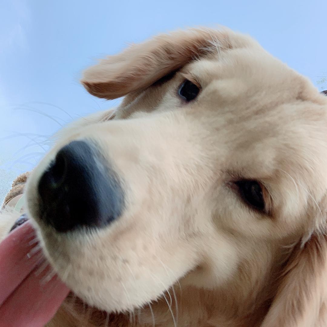 艾可乐吖