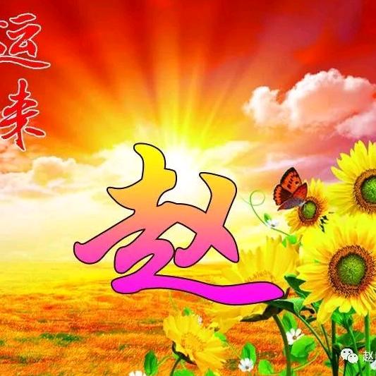 我是老赵