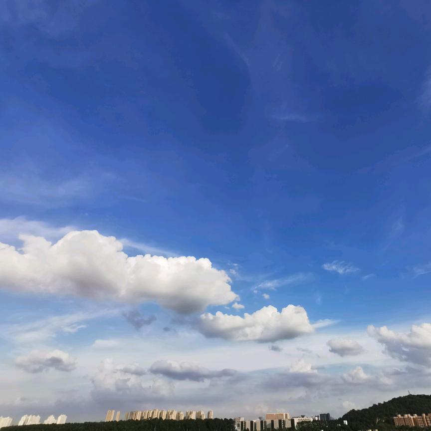 炜炜炜