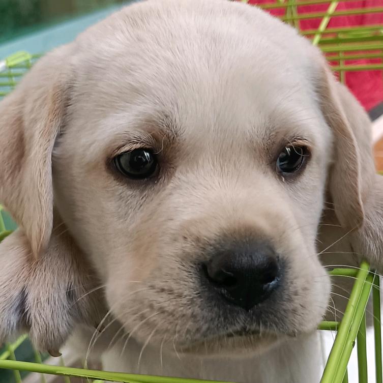 ཀ俗子🚬⃟愛財༉࿐