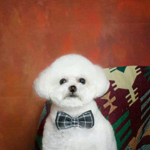 想啥，来啥！不愿俺