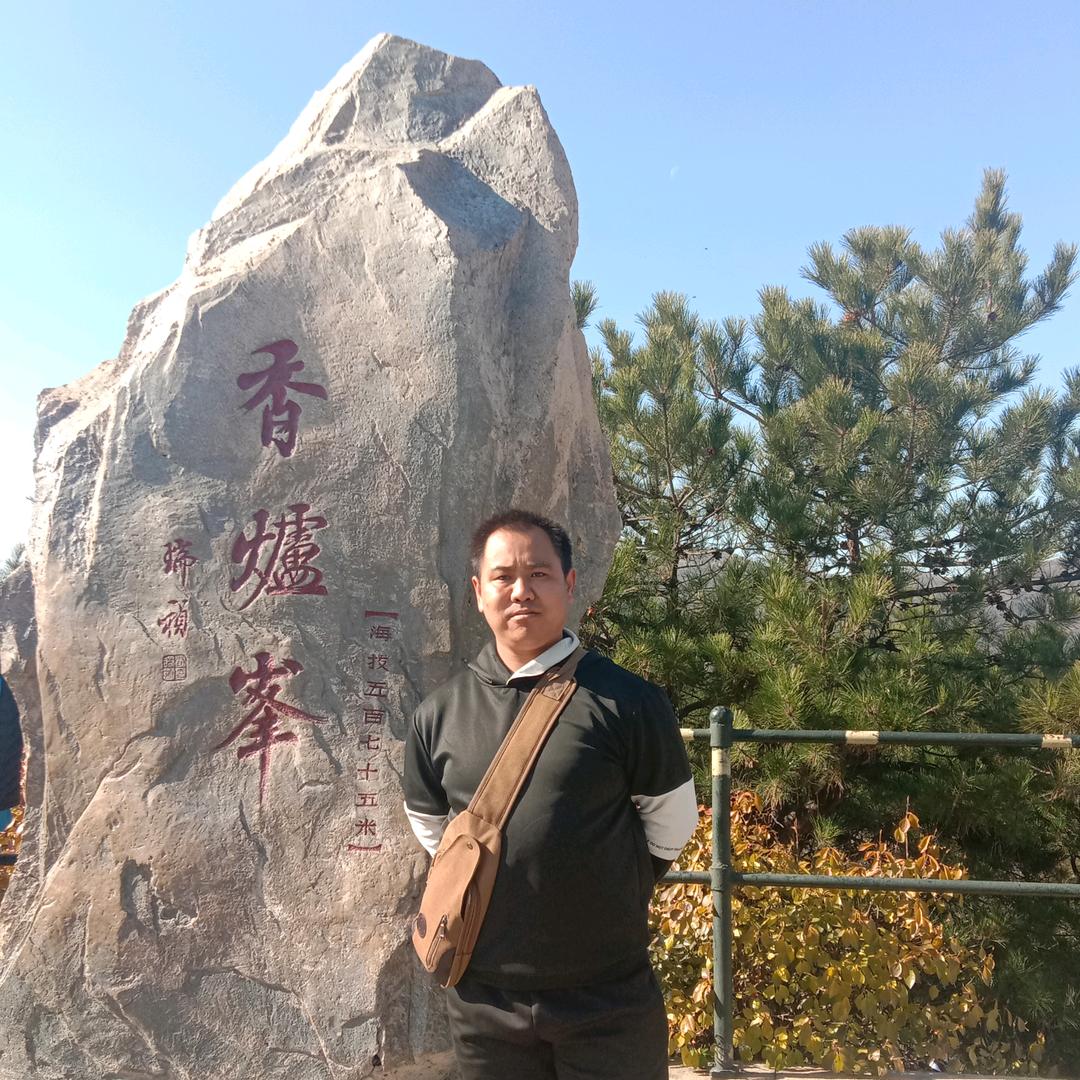 爱吃牛肉炒蛋的金蓝重头像