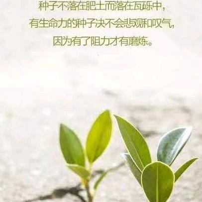 东简花花公子店