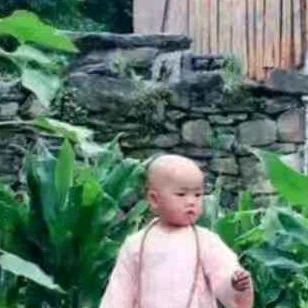 袁