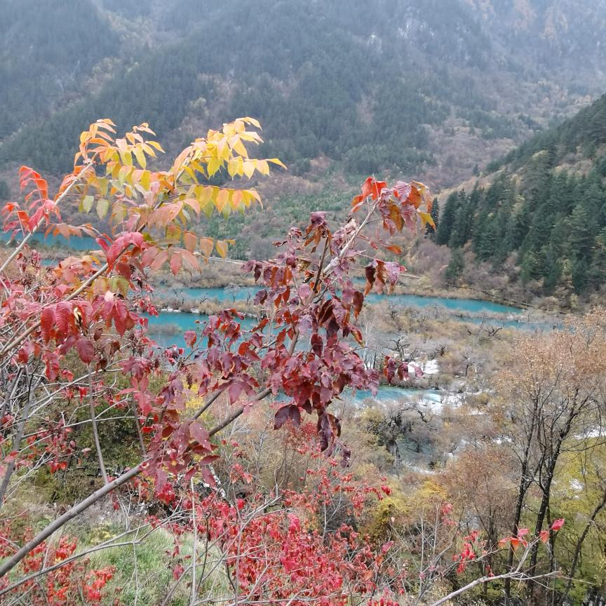 顺其自然（五）