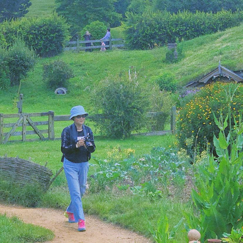 水草（手机摄影）