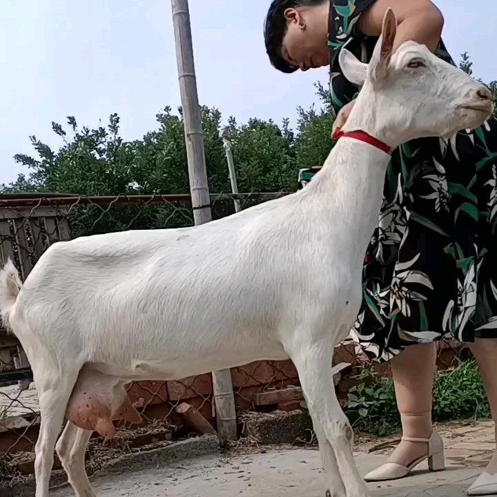 用户73349484192