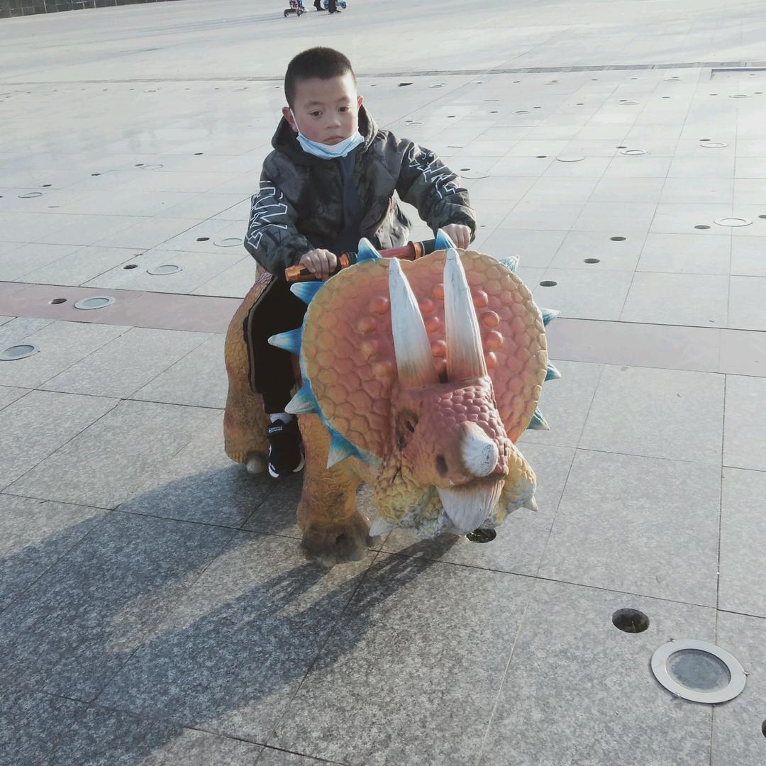 陆沙
