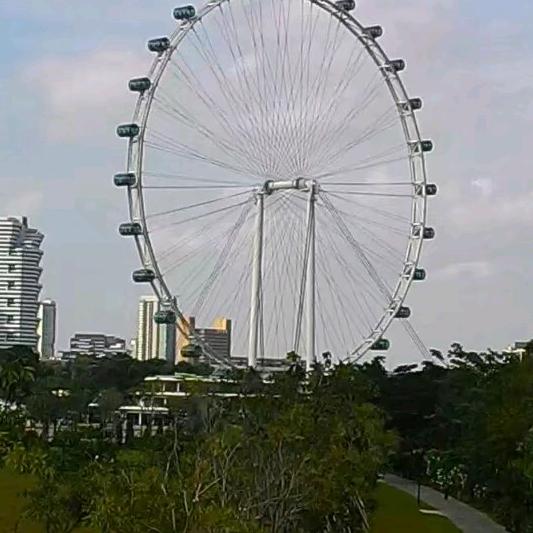 手机用户马到成功