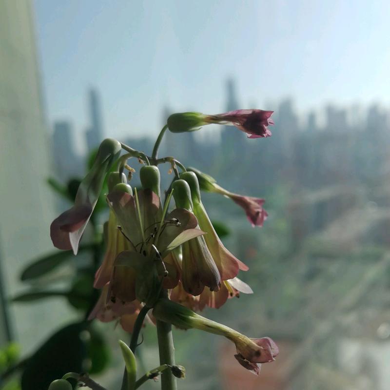 好好👌🏻