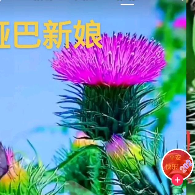 知足◐▂◐常乐