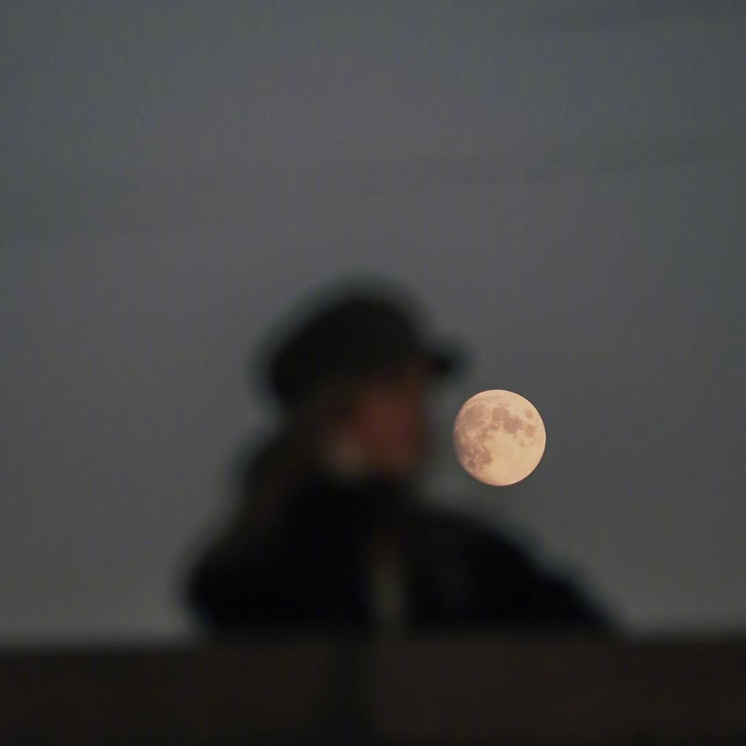 ZY跑刀纯绿可直播（60-1000w）