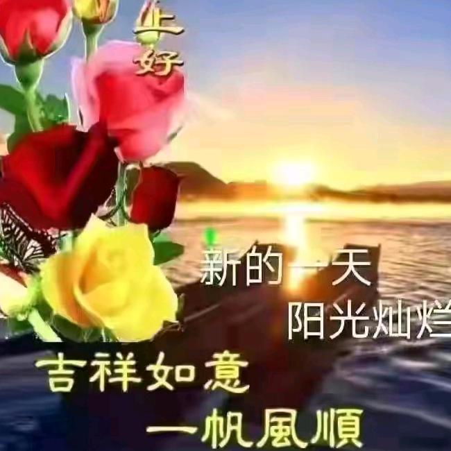 艺晴🚲🚲🚲