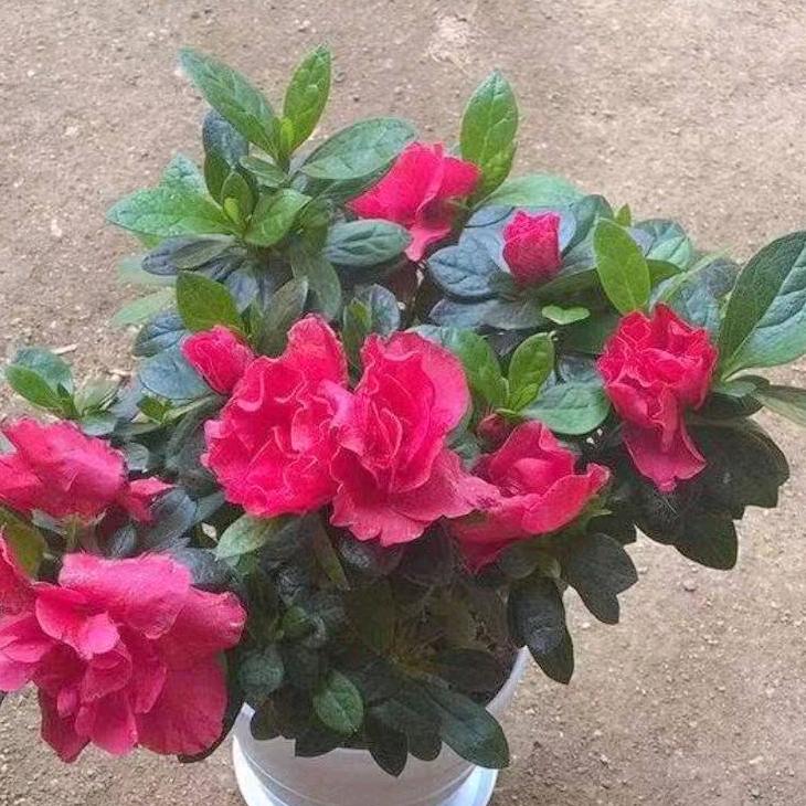 临朐亿佰家超市静姐