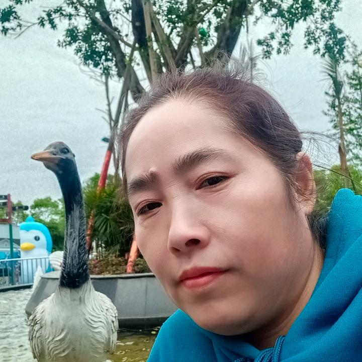 芹姐