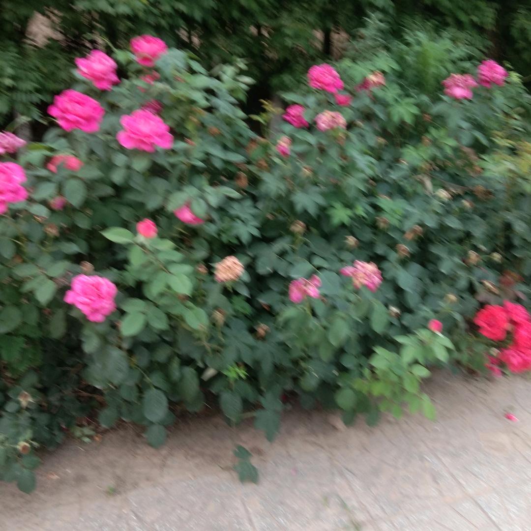 此处随缘