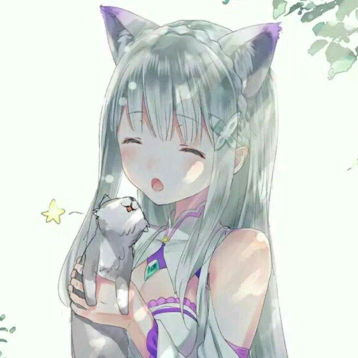 流星满月