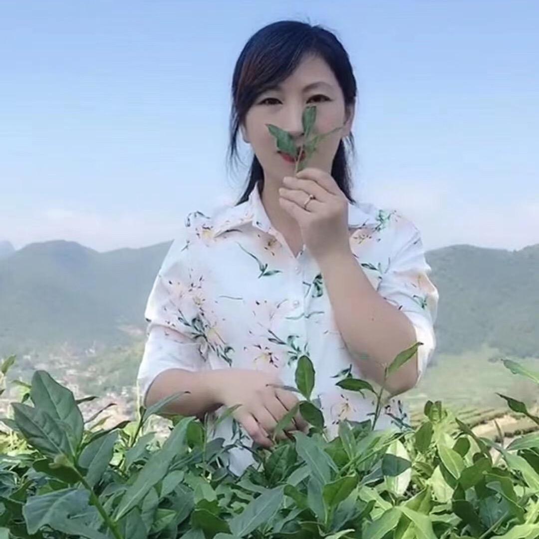 陈美芳茶缘