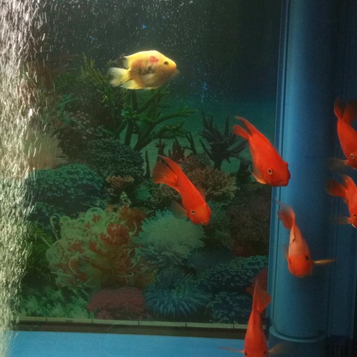同意。