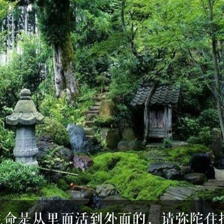 章荣林