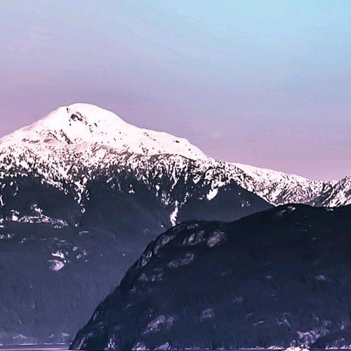 诺雪腾煌头像