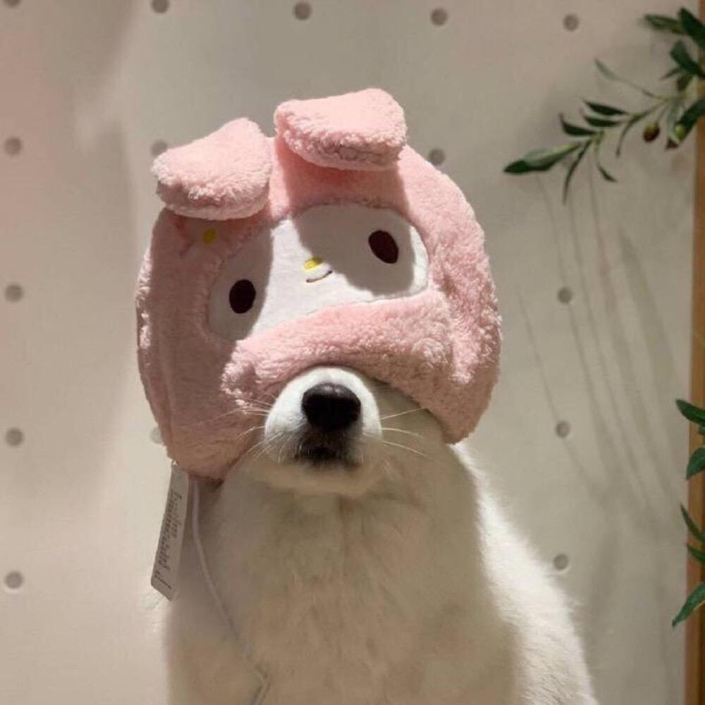 玩物涨智