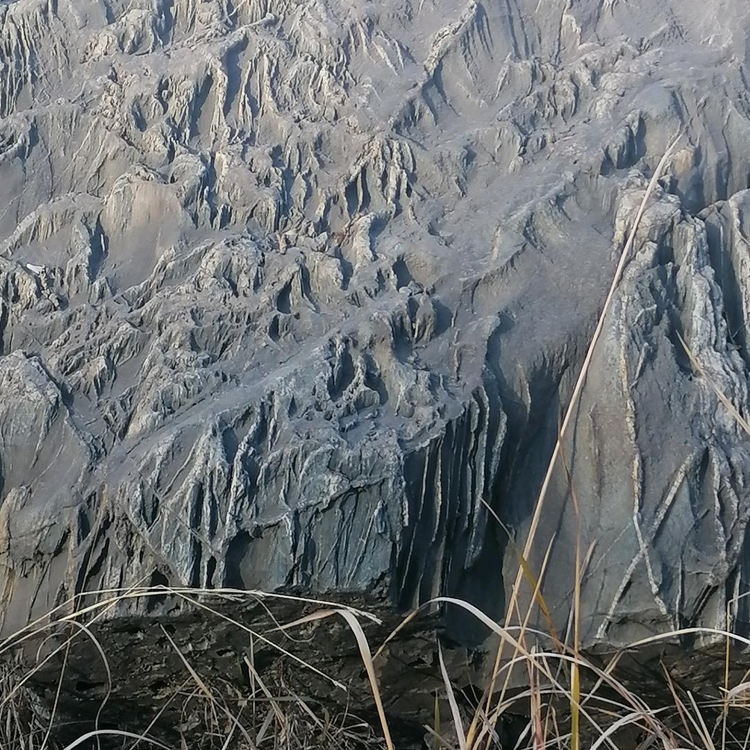 小豆
