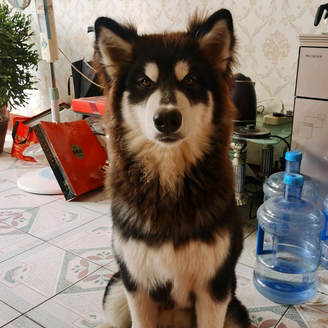 真不是很水
