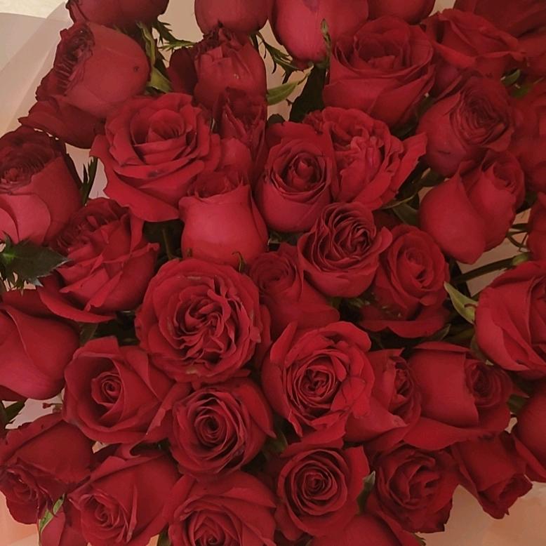 🌺🌺富🔥贾🌸一🌺方🌹🌹