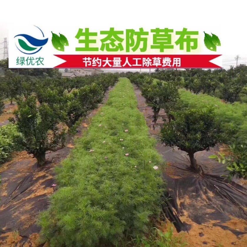 生态防草布直销
