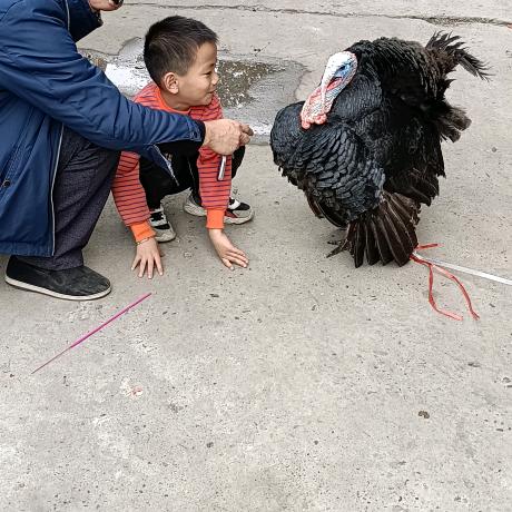 用户5759176237593
