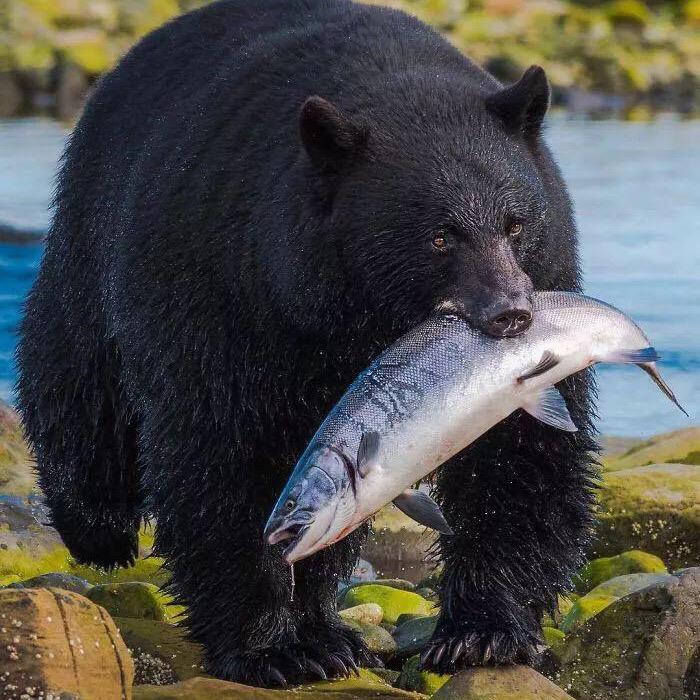 勇闯天涯🐟🐟