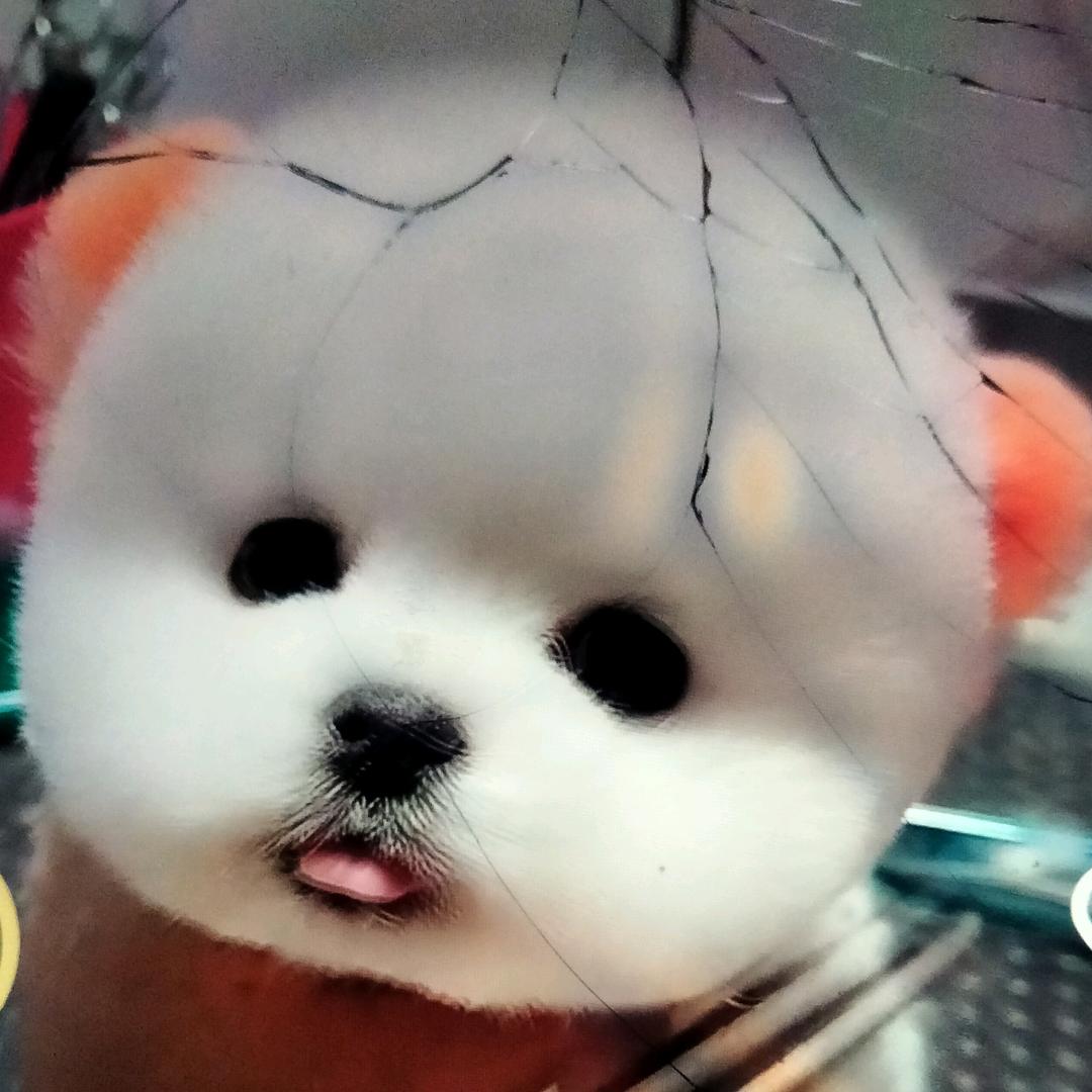 刘思菱