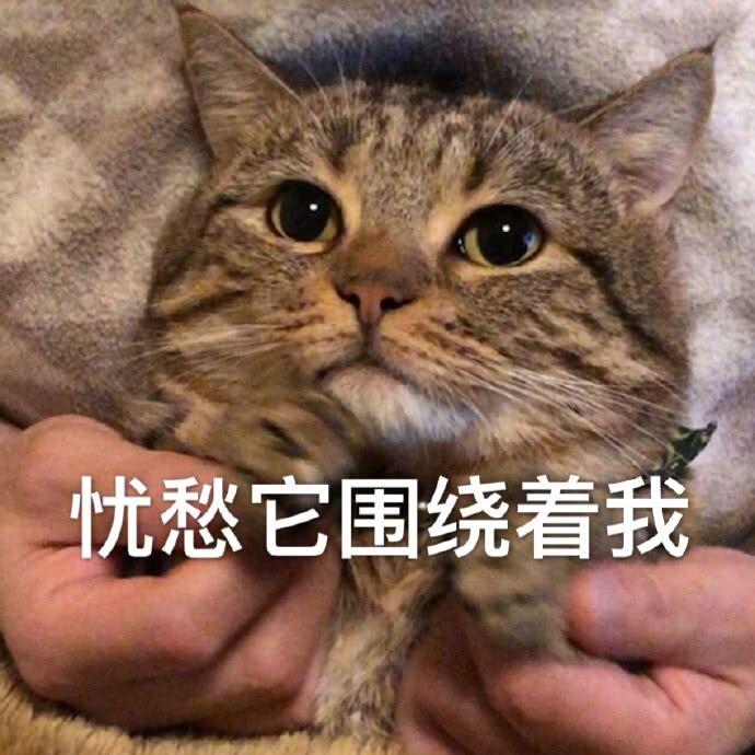 娱影袅袅