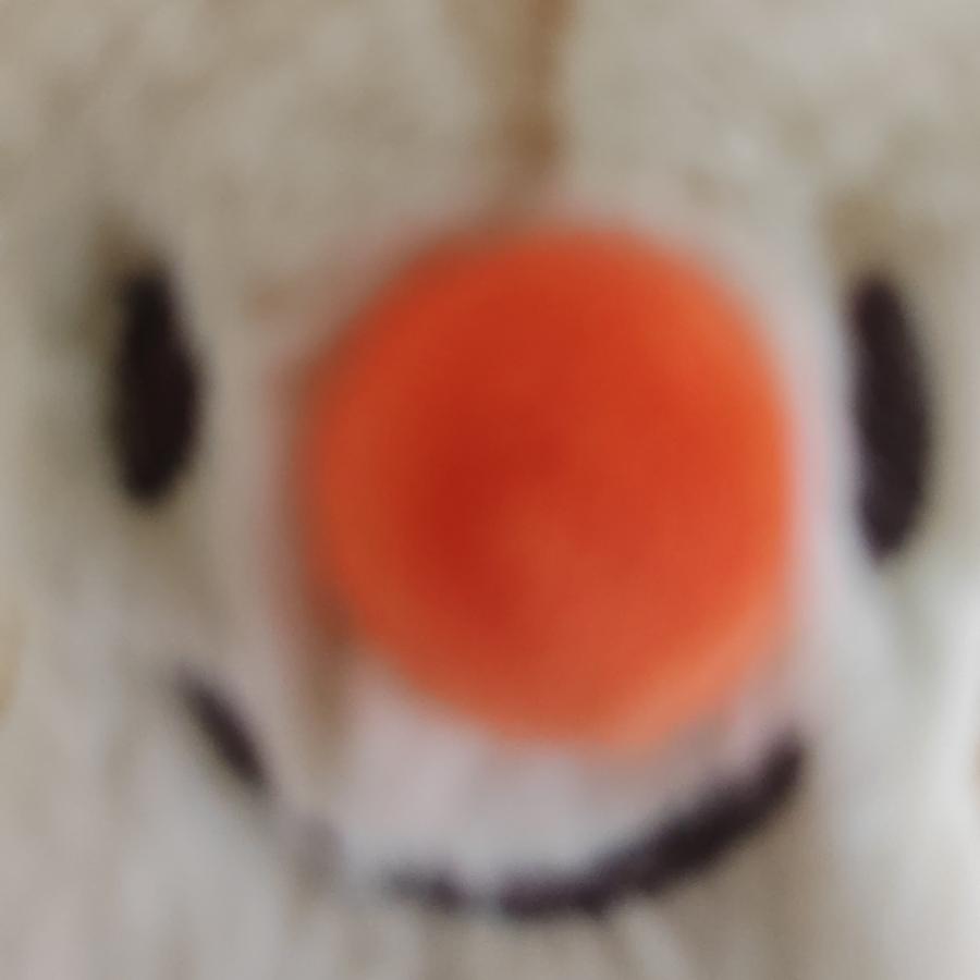 奶油小狗🐶🐶