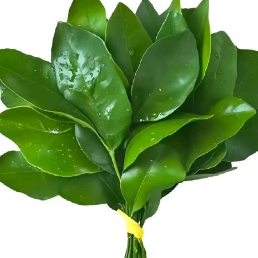 小哥